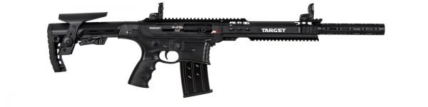 target-arms-m12-08-51.jpg